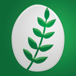 EGGO APP ICON 512 x 512px