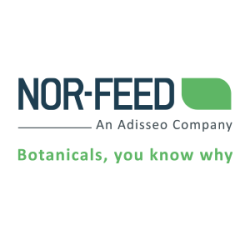 nor-feed